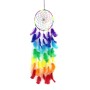 Attrape-Rêve toile fleur Plumes Arc-en-Ciel