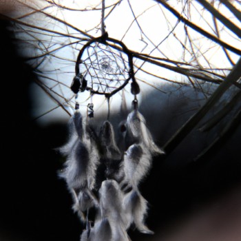 Les origines du dream catcher