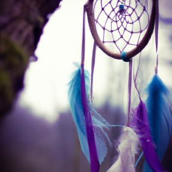  Quels sont les symboles représentés par le dream catcher?