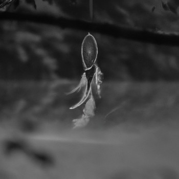  Quel type d'esprits sont capturés avec un Dreamcatcher ?